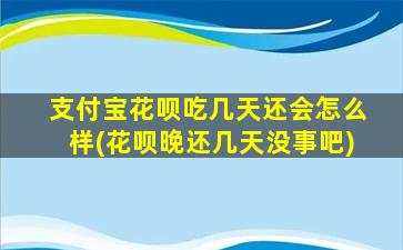 支付宝花呗吃几天还会怎么样(花呗晚还几天没事吧)