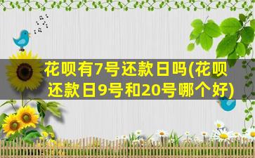 花呗有7号还款日吗(花呗还款日9号和20号哪个好)