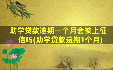 助学贷款逾期一个月会被上征信吗(助学贷款逾期1个月)