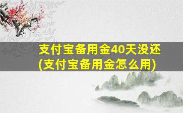 支付宝备用金40天没还(支付宝备用金怎么用)