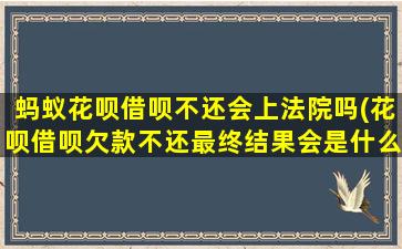 蚂蚁花呗借呗不还会上法院吗(花呗借呗欠款不还最终结果会是什么)