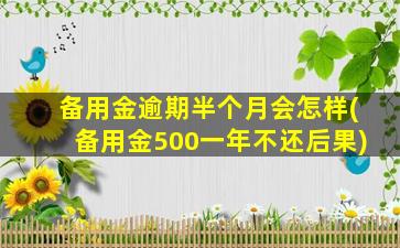 备用金逾期半个月会怎样(备用金500一年不还后果)