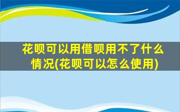 花呗可以用借呗用不了什么情况(花呗可以怎么使用)