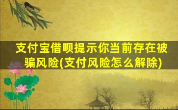 支付宝借呗提示你当前存在被骗风险(支付风险怎么解除)