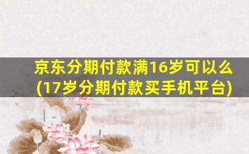 京东分期付款满16岁可以么(17岁分期付款买手机平台)