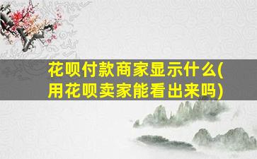 花呗付款商家显示什么(用花呗卖家能看出来吗)