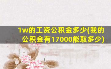 1w的工资公积金多少(我的公积金有17000能取多少)