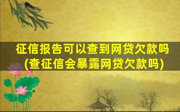 征信报告可以查到网贷欠款吗(查征信会暴露网贷欠款吗)