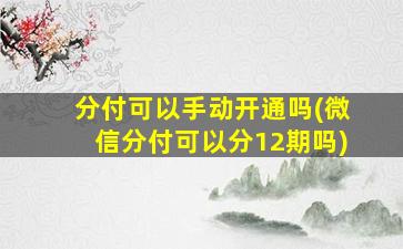 分付可以手动开通吗(微信分付可以分12期吗)