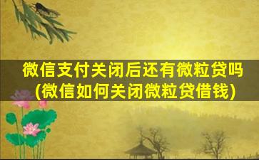 微信支付关闭后还有微粒贷吗(微信如何关闭微粒贷借钱)