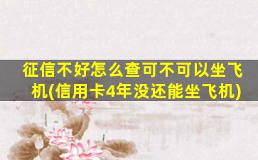 征信不好怎么查可不可以坐飞机(信用卡4年没还能坐飞机)