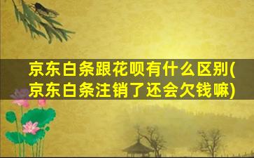 京东白条跟花呗有什么区别(京东白条注销了还会欠钱嘛)