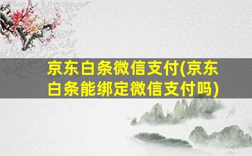 京东白条微信支付(京东白条能绑定微信支付吗)