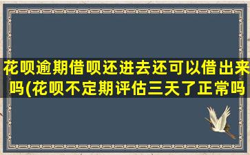 花呗逾期借呗还进去还可以借出来吗(花呗不定期评估三天了正常吗)