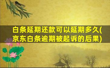 白条延期还款可以延期多久(京东白条逾期被起诉的后果)