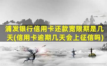 浦发银行信用卡还款宽限期是几天(信用卡逾期几天会上征信吗)