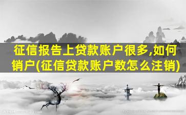 征信报告上贷款账户很多,如何销户(征信贷款账户数怎么注销)