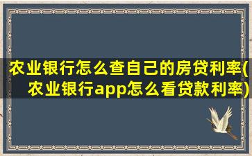 农业银行怎么查自己的房贷利率(农业银行app怎么看贷款利率)