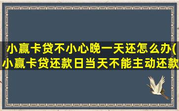 小赢卡贷不小心晚一天还怎么办(小赢卡贷还款日当天不能主动还款)