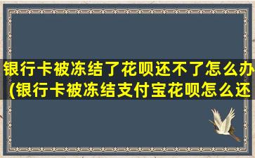 银行卡被冻结了花呗还不了怎么办(银行卡被冻结支付宝花呗怎么还款)