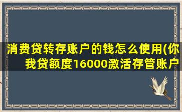 消费贷转存账户的钱怎么使用(你我贷额度16000激活存管账户)