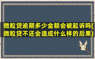 微粒贷逾期多少金额会被起诉吗(微粒贷不还会造成什么样的后果)