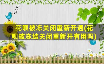 花呗被冻关闭重新开通(花呗被冻结关闭重新开有用吗)