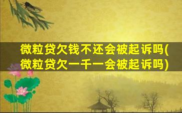 微粒贷欠钱不还会被起诉吗(微粒贷欠一千一会被起诉吗)