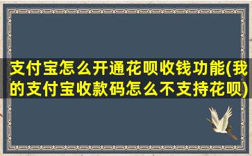 支付宝怎么开通花呗收钱功能(我的支付宝收款码怎么不支持花呗)