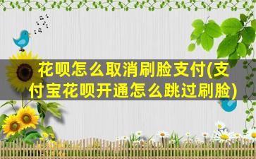 花呗怎么取消刷脸支付(支付宝花呗开通怎么跳过刷脸)