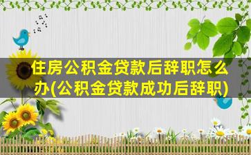 住房公积金贷款后辞职怎么办(公积金贷款成功后辞职)