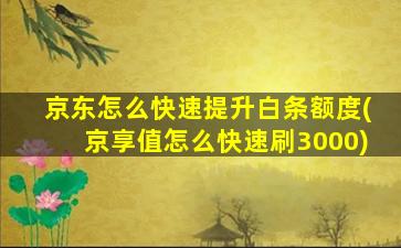 京东怎么快速提升白条额度(京享值怎么快速刷3000)