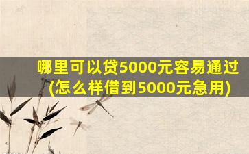 哪里可以贷5000元容易通过(怎么样借到5000元急用)