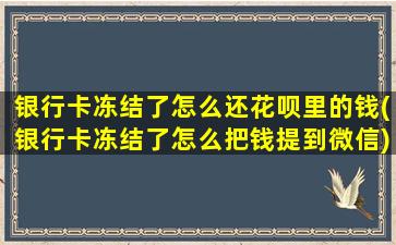 银行卡冻结了怎么还花呗里的钱(银行卡冻结了怎么把钱提到微信)