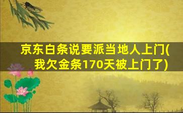 京东白条说要派当地人上门(我欠金条170天被上门了)