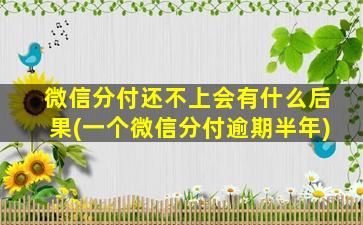 微信分付还不上会有什么后果(一个微信分付逾期半年)