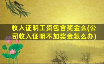 收入证明工资包含奖金么(公司收入证明不加奖金怎么办)