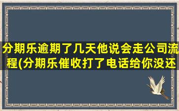 分期乐逾期了几天他说会走公司流程(分期乐催收打了电话给你没还怎么办)