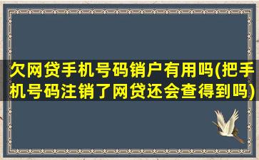 欠网贷手机号码销户有用吗(把手机号码注销了网贷还会查得到吗)