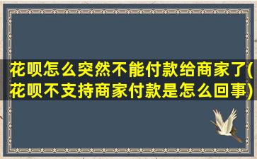 花呗怎么突然不能付款给商家了(花呗不支持商家付款是怎么回事)