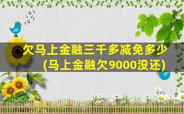 欠马上金融三千多减免多少(马上金融欠9000没还)