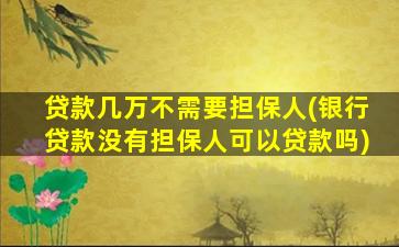 贷款几万不需要担保人(银行贷款没有担保人可以贷款吗)