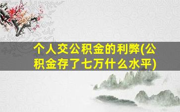 个人交公积金的利弊(公积金存了七万什么水平)