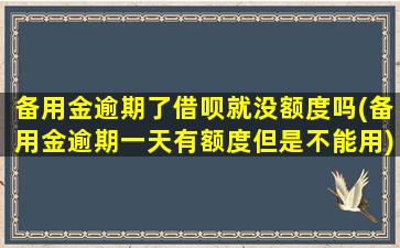 备用金逾期了借呗就没额度吗(备用金逾期一天有额度但是不能用)