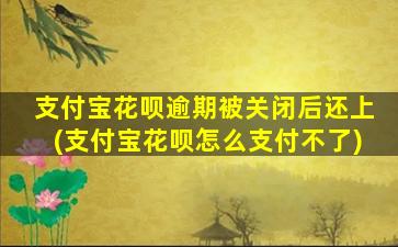 支付宝花呗逾期被关闭后还上(支付宝花呗怎么支付不了)