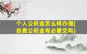 个人公积金怎么样办理(自费公积金有必要交吗)