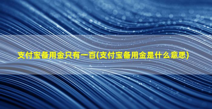 支付宝备用金只有一百(支付宝备用金是什么意思)