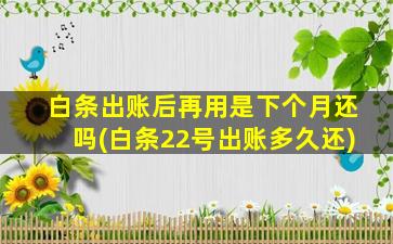 白条出账后再用是下个月还吗(白条22号出账多久还)