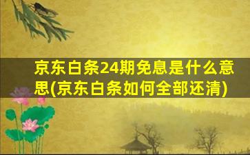 京东白条24期免息是什么意思(京东白条如何全部还清)