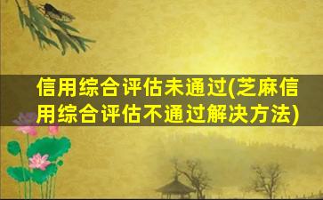 信用综合评估未通过(芝麻信用综合评估不通过解决方法)